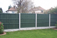 Fencing, Acton - 2011